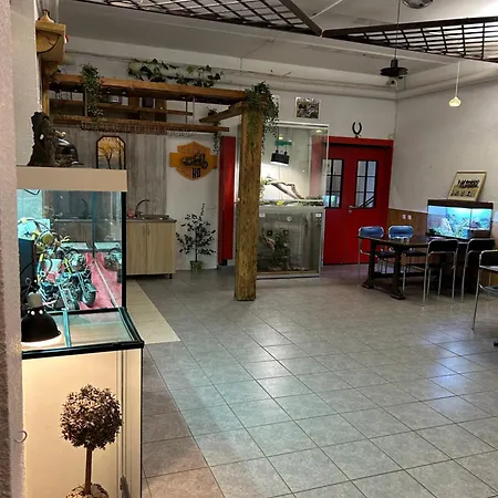 Kangelaste 2 Aparthotel