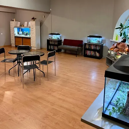 شقة فندقية Center نارفا