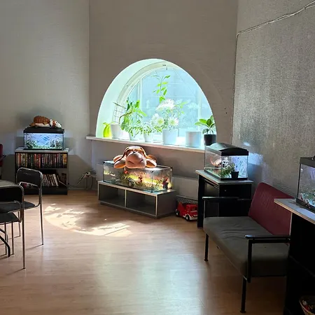 Narva Center - K2A Aparthotel 3*