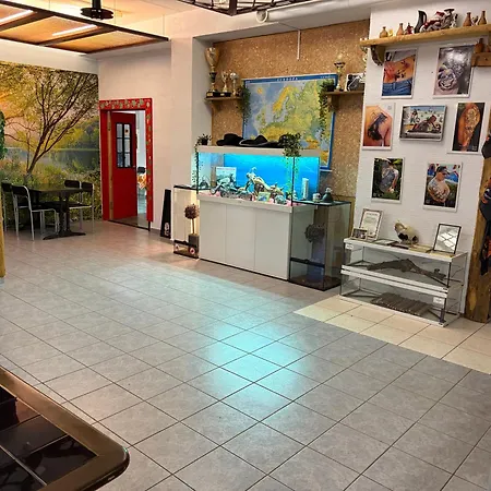 Center شقة فندقية