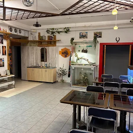 شقة فندقية Center